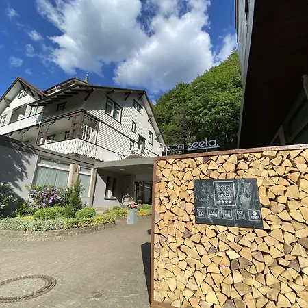 Harz Hotel & Spa Seela-3
