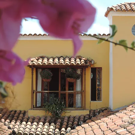 La Casa Amarilla-3
