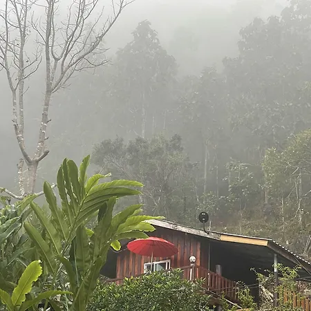 Forest Guesthouse-2