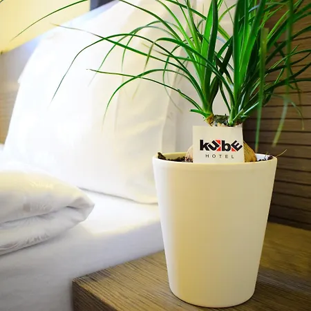 Hotel Kube-2