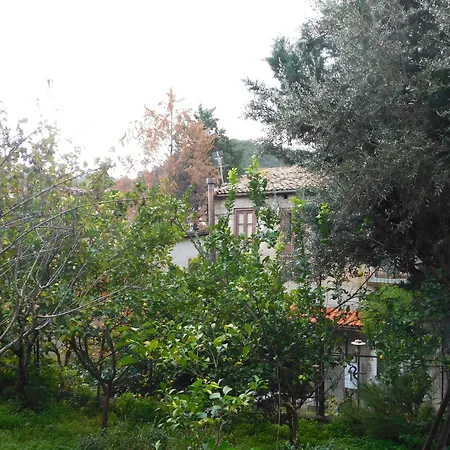 Old Garden-2