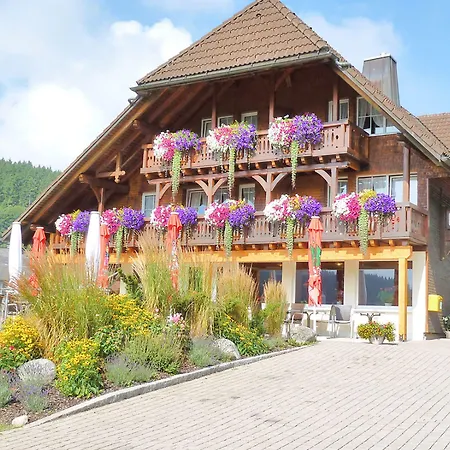 Hotel Hirschen-3