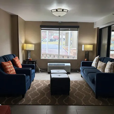 Comfort Inn Falls Church - Tysons Corner-2