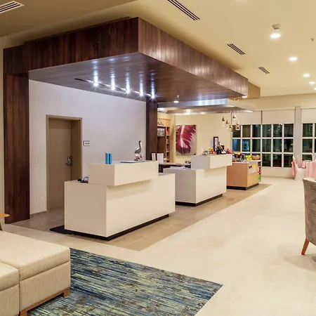 Hilton Garden Inn Tampa - Wesley Chapel-2