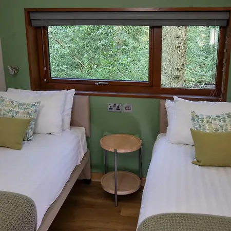 Garwnant, Brecon Beacons Cabins - Forest Holidays-3