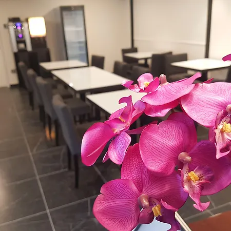 Best Western Hotel Journel Paris Sud-3