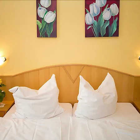 Hotel Zwei Mohren-2