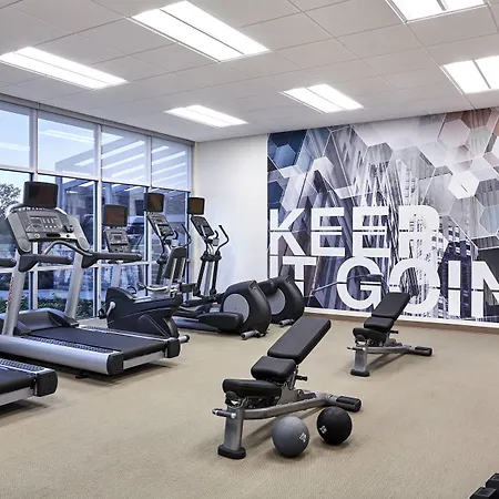 Springhill Suites By Marriott Tampa Suncoast Parkway-3