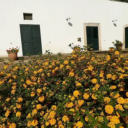 Masseria Fracchicchi-3