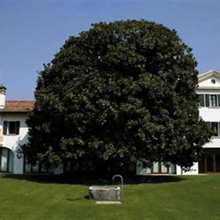 Hotel Fossa Mala-3