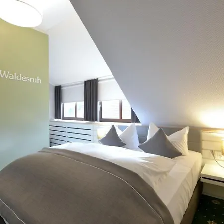 Hotel Restaurant Waldesruh-2