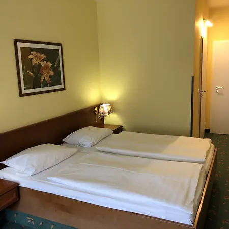 Brandiser Parkhotel-3