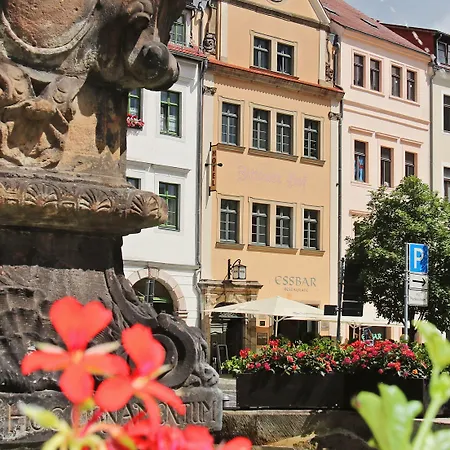 Hotel Zittauer Hof-3