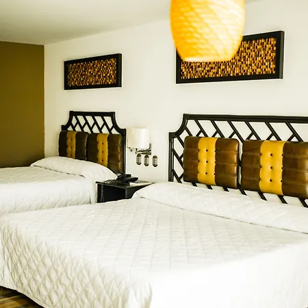 Hotel Maria Dolores San Luis Potosi-2