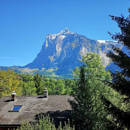 Hotel Gletscherblick Grindelwald-2