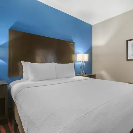 Best Western Plus Tech Medical Center Inn-3