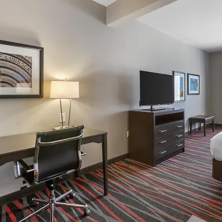 Best Western Plus Tech Medical Center Inn-2