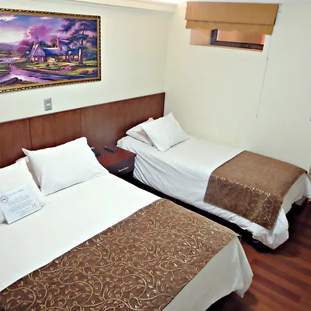 Hotel Newen-3