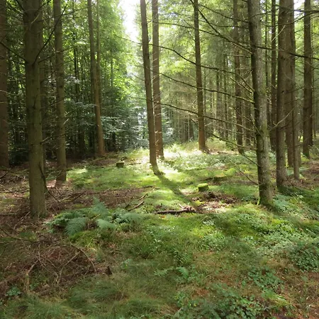 Blick zum Maimont-2