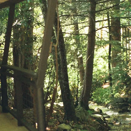 Route 19 Inn-2