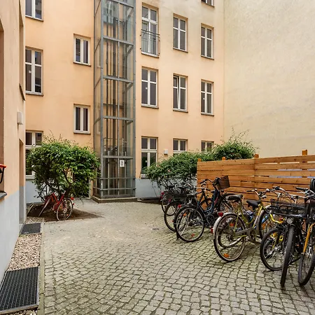 Numa Berlin Kater-3