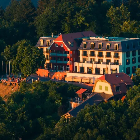Berggasthof Koenigstuhl-3