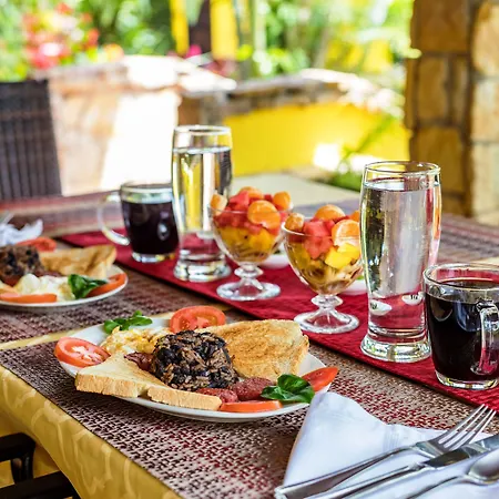 La Terraza Guest House B&B-3