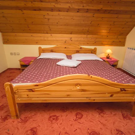 Guesthouse Jelenov Greben-3