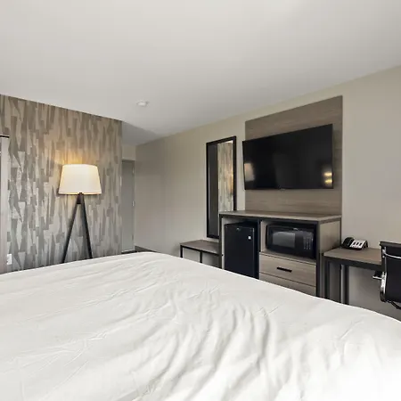 The Elmwood-2