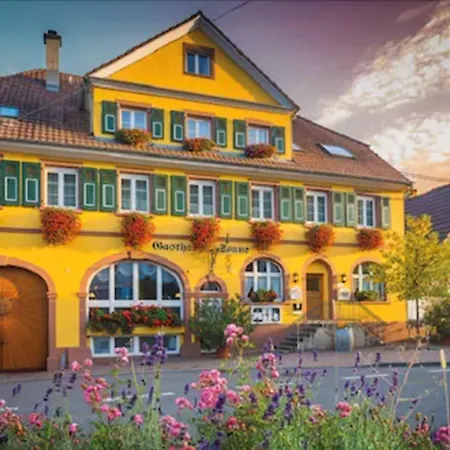 Weinhotel / Gasthaus zur Sonne-2