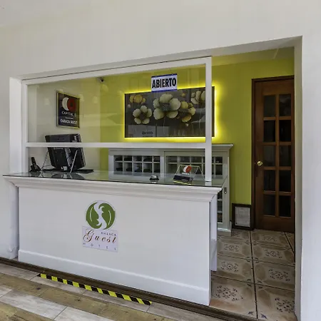 Capital O Oaxaca Guest Hotel-2