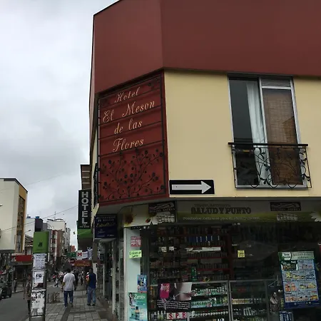Hotel Meson de las Flores-2