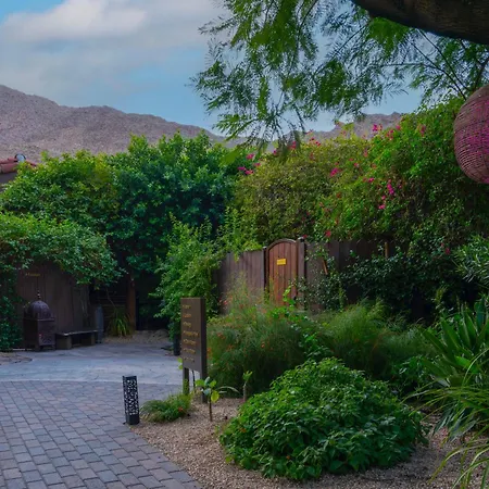 Talavera Palm Springs Hotel - 21 & Over-3