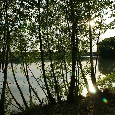 Waldhotel zum Bergsee Damme-3