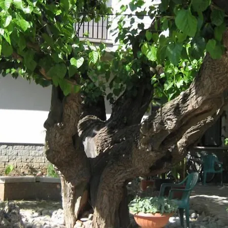 Hotel da Rosanna-3