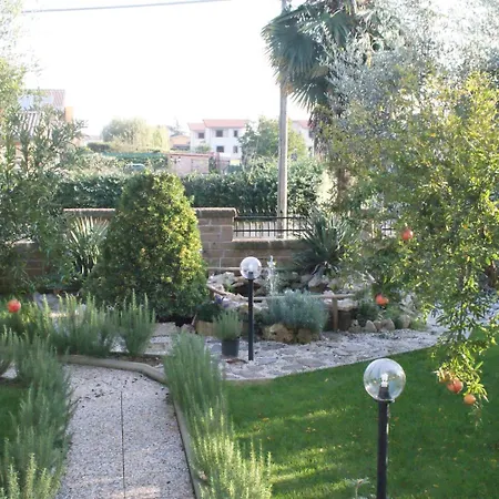 Bed&Breakfast degli ulivi-3