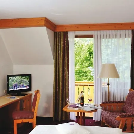Parkhotel zum Stern-2