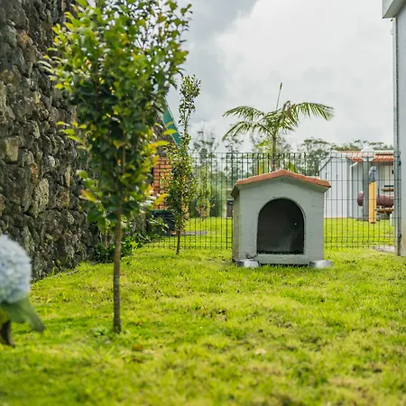 Parrots'Village-2