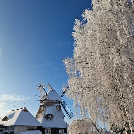 Hotel Mecklenburger Mühle Garni-2