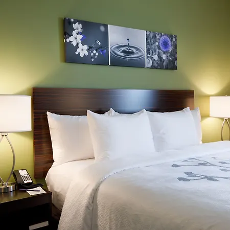 Sleep Inn & Suites Park City-Wichita North-2