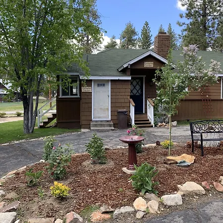 Grey Squirrel Resort-2