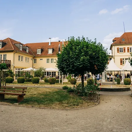 Schloss Neckarbischofsheim-3