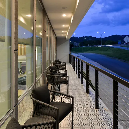 Towneplace Suites By Marriott Asheville Downtown-2