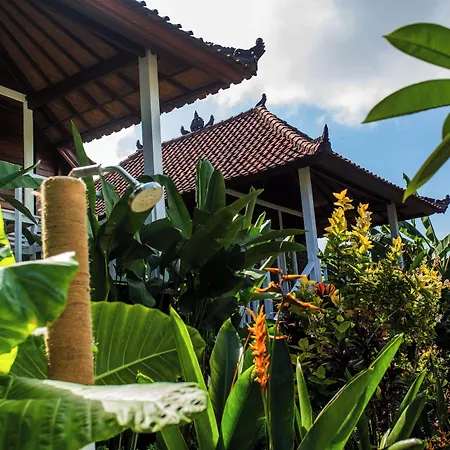 Stardust Villas-3