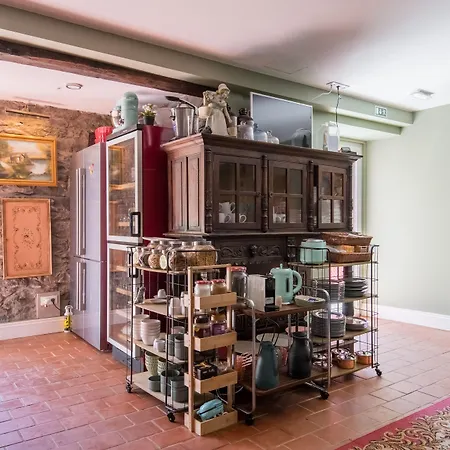 Villa Camelia Boutique House-3