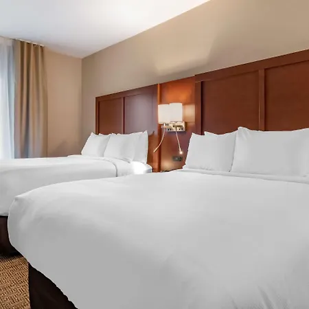 Comfort Suites Camp Hill-Harrisburg West-3