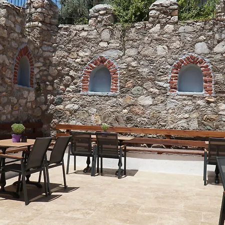 Pikan Ephesus-2
