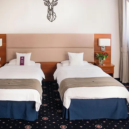 Parkhotel Lyson-2