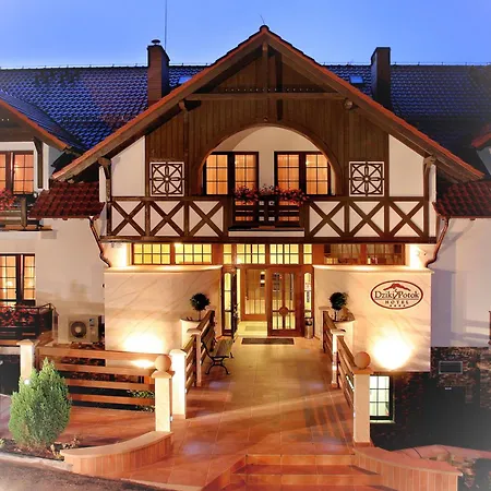 Hotel Dziki Potok Karpacz-3