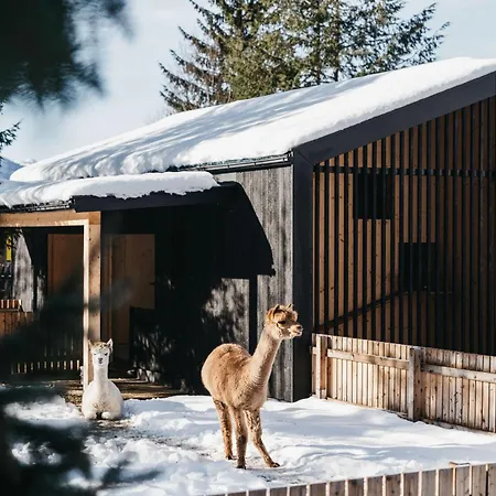 Haven Mountain Retreat-3